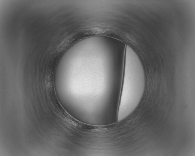 X0000052590317200507010946