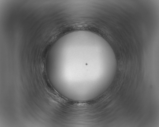 X0000052590324200507010946
