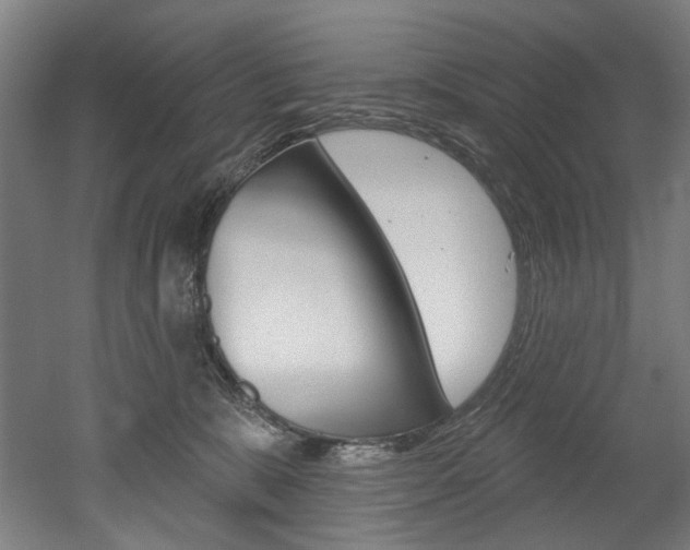 X0000052590327200507010946