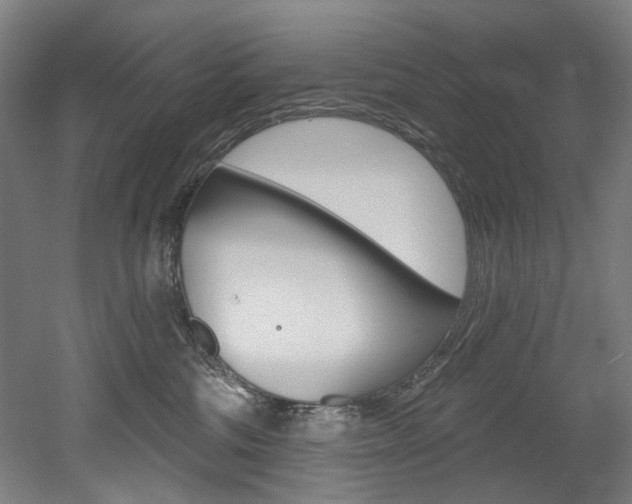 X0000052590330200507010946