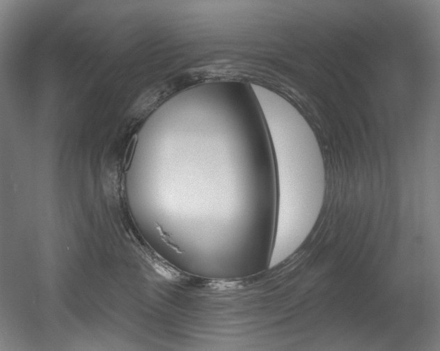 X0000052590333200507010946