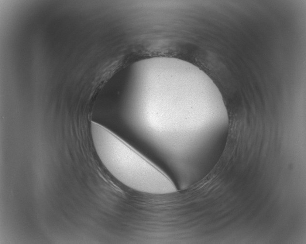 X0000052590335200507010946
