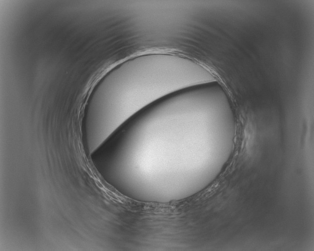 X0000052590337200507010945