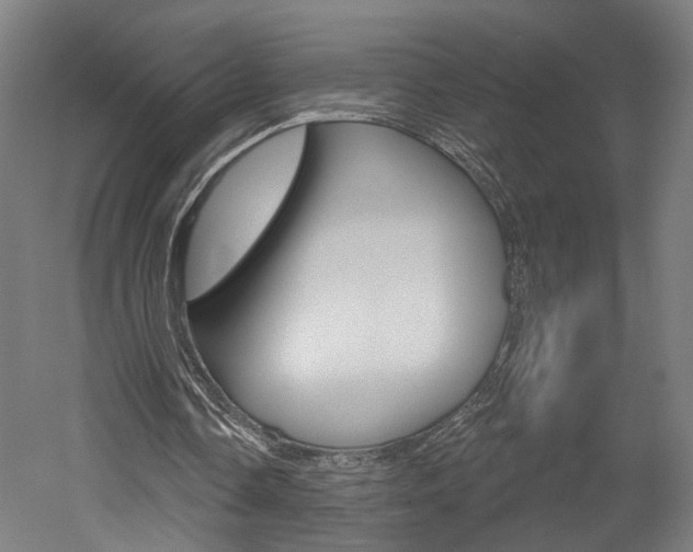 X0000052590338200507010945