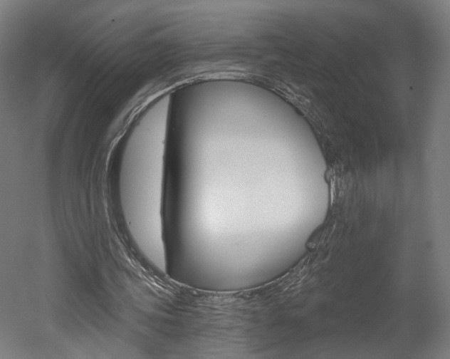 X0000052590339200507010945