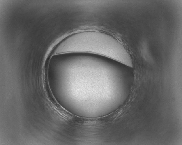 X0000052590342200507010945