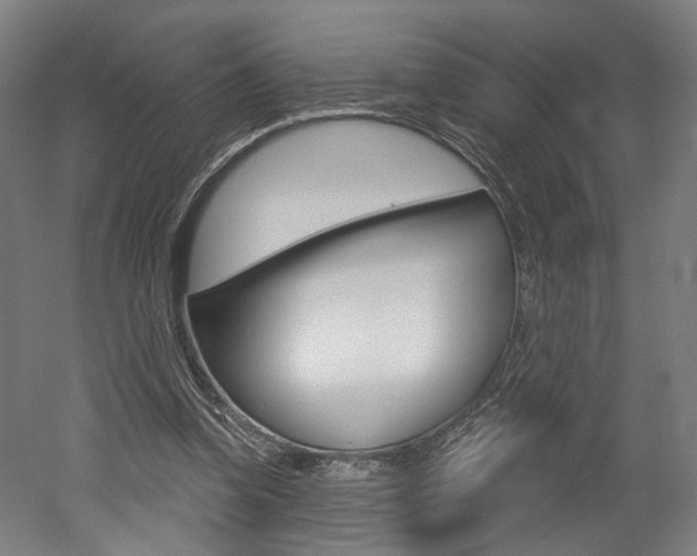 X0000052590346200507010945