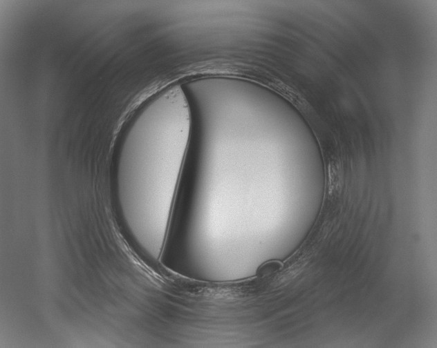 X0000052590349200507010945