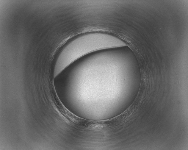X0000052590352200507010945
