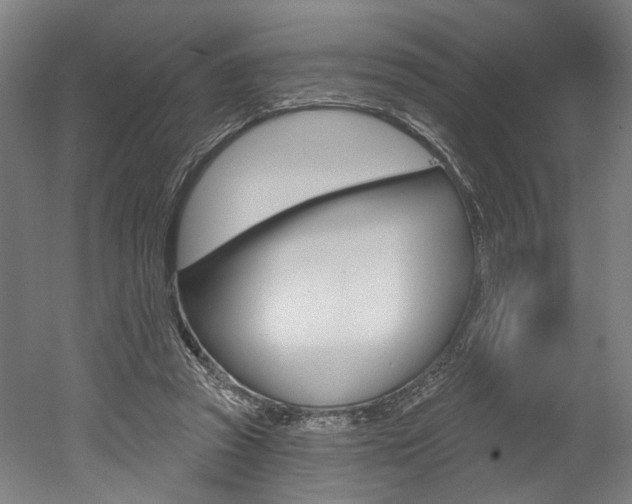 X0000052590353200507010945