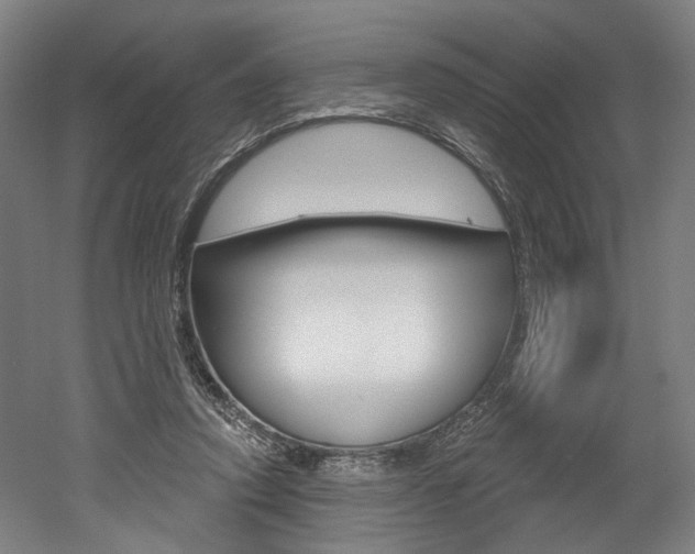 X0000052590354200507010945