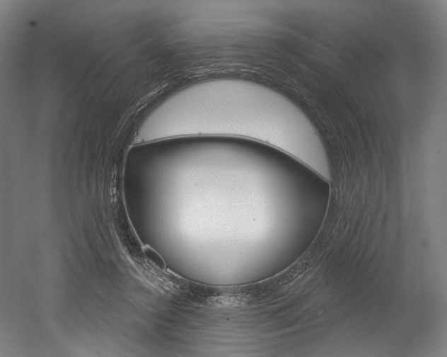 X0000052590356200507010945