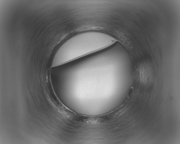 X0000052590358200507010945