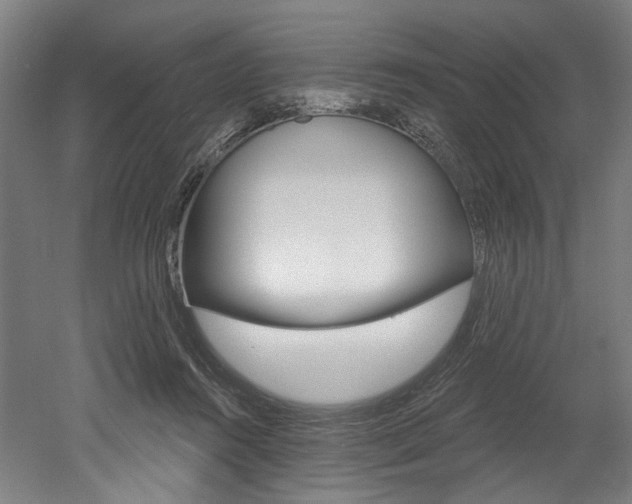 X0000052590360200507010945