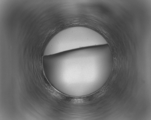 X0000052590361200507010945