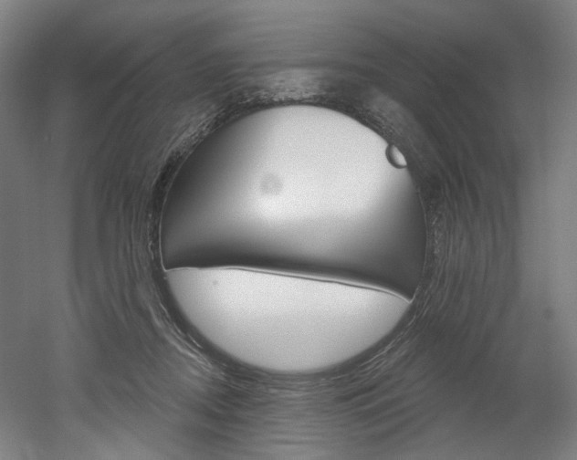 X0000052590362200507010945