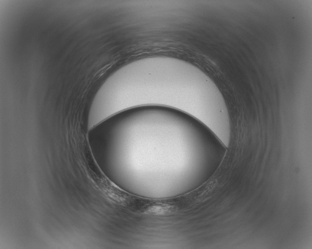 X0000052590364200507010945