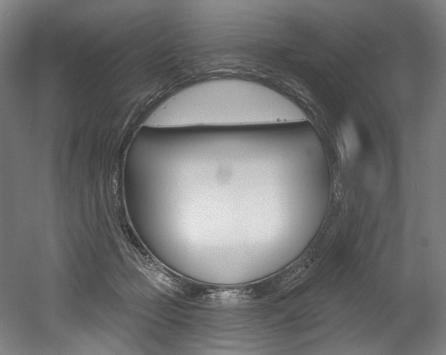 X0000052590365200507010945