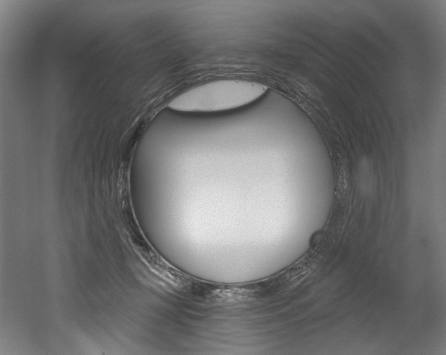 X0000052590367200507010946
