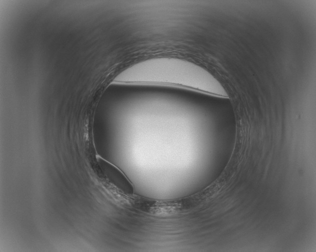 X0000052590368200507010946