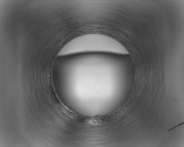 X0000052590372200507010946