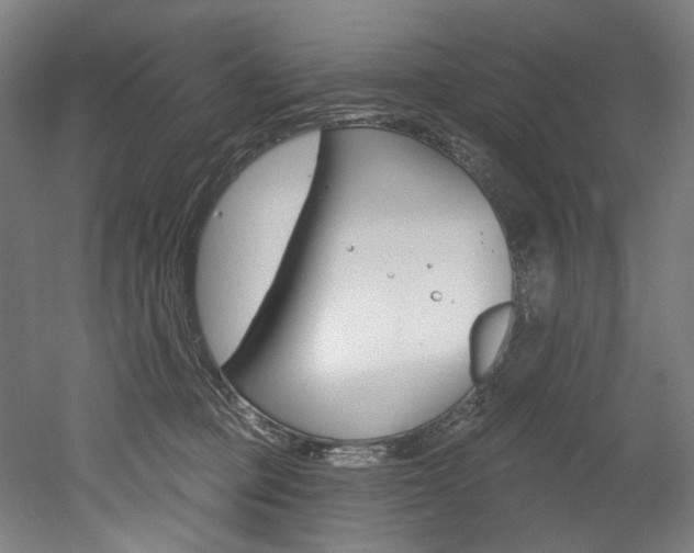 X0000052590373200507010946
