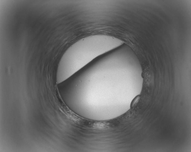 X0000052590375200507010946