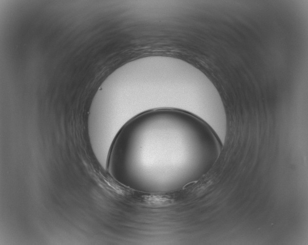 X0000052590380200507010946