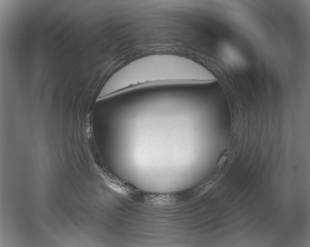 X0000052590383200507010946