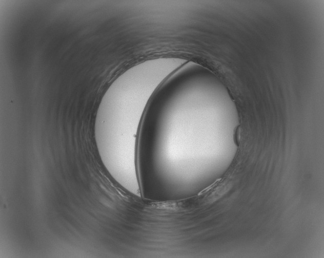 X0000052590384200507010946