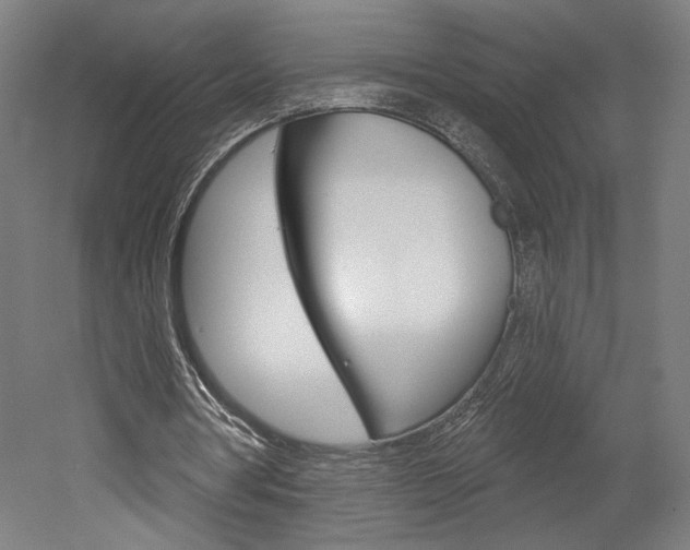 X0000052590386200507010945