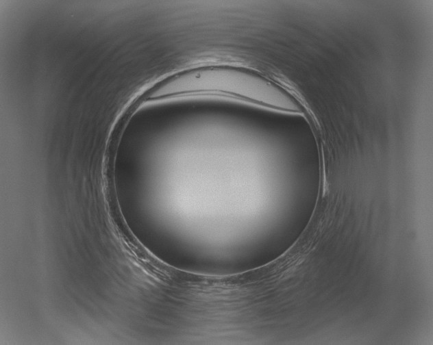 X0000052590387200507010945