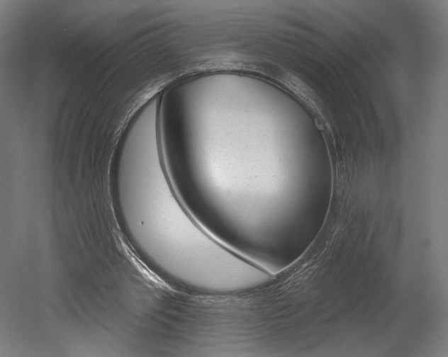 X0000052590389200507010945