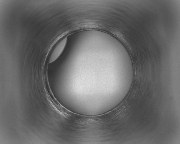 X0000052590390200507010945
