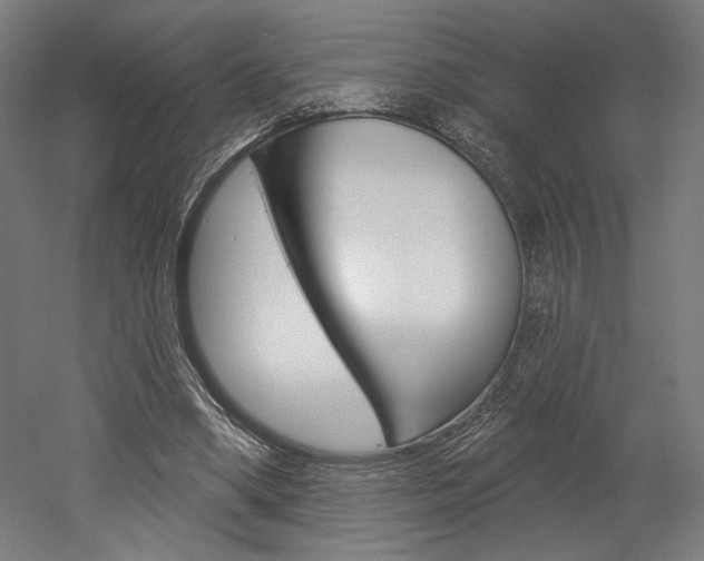 X0000052590394200507010945