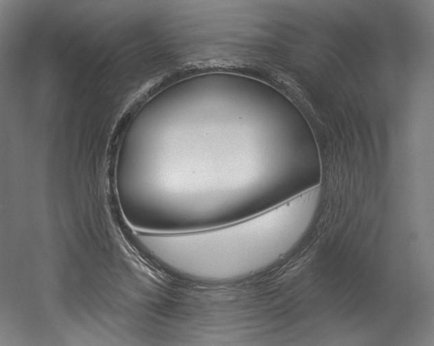 X0000052590395200507010945