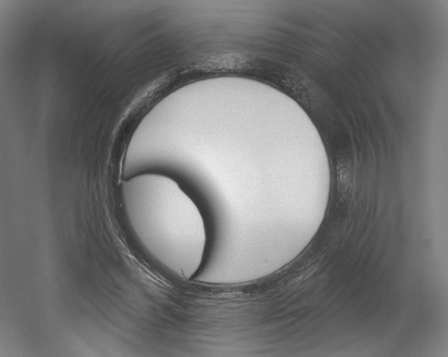 X0000052590396200507010945