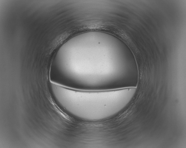 X0000052590397200507010945