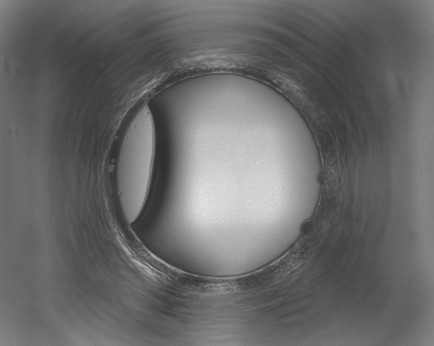 X0000052590398200507010945