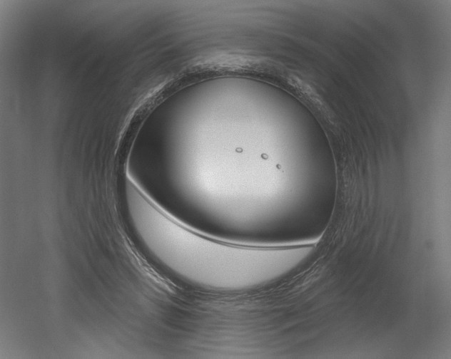 X0000052590399200507010945