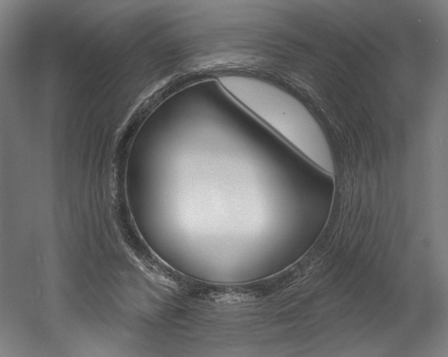 X0000052590400200507010945