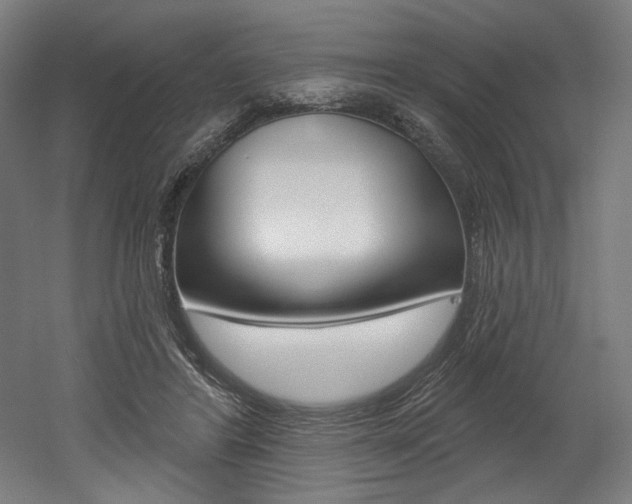X0000052590404200507010945