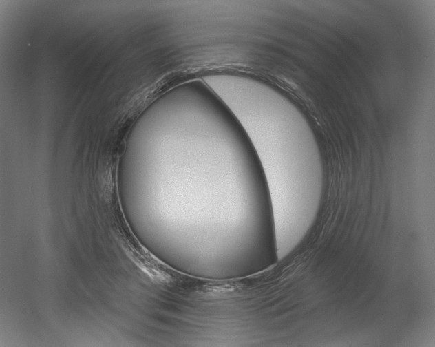 X0000052590405200507010945