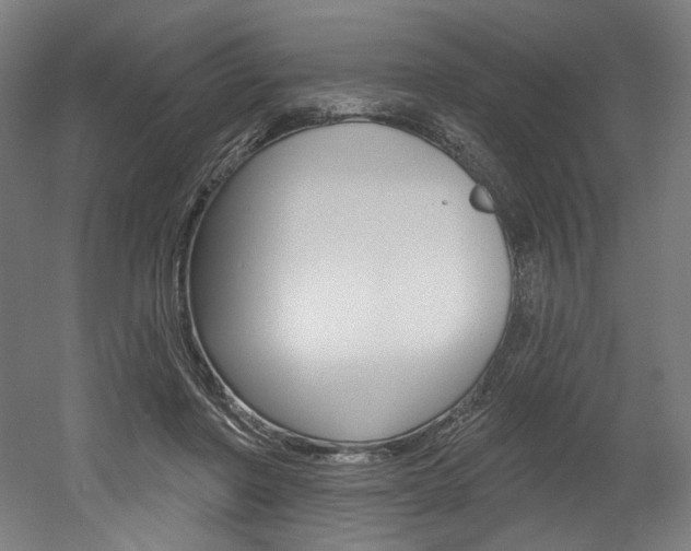 X0000052590406200507010945
