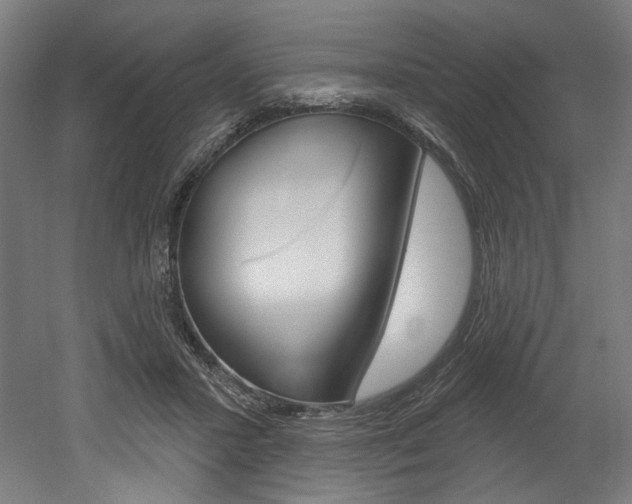 X0000052590407200507010945