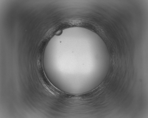 X0000052590408200507010945