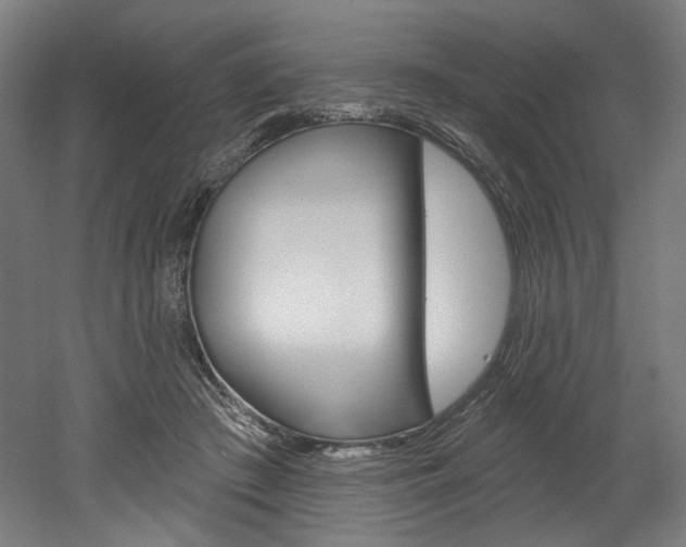 X0000052590409200507010945
