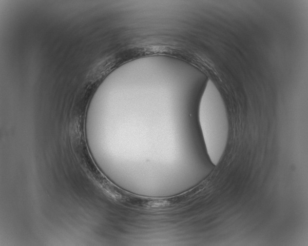 X0000052590410200507010945