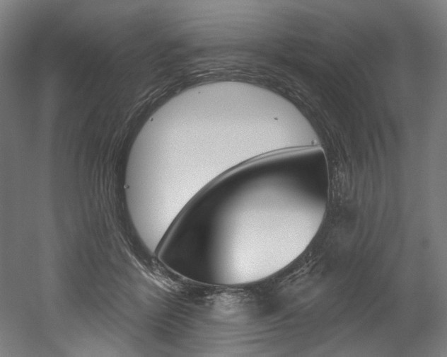 X0000052590412200507010945