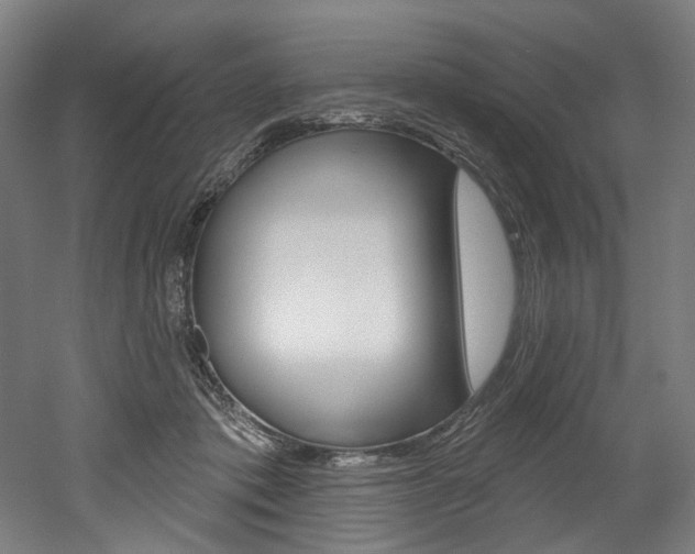 X0000052590413200507010945